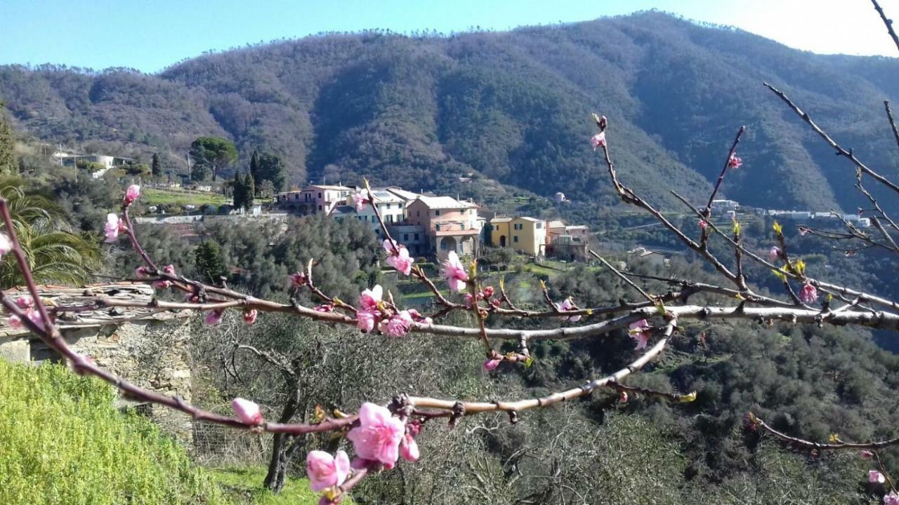 Casa Burrasca Villa Levanto Buitenkant foto